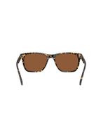 COSTA | Gravels Sunglasses - Tortoise