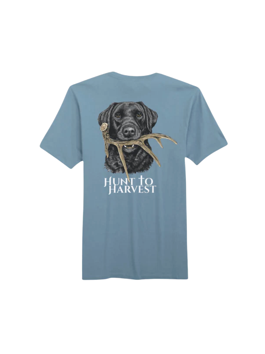 Hunt To Harvest | Dog And Shed Tee