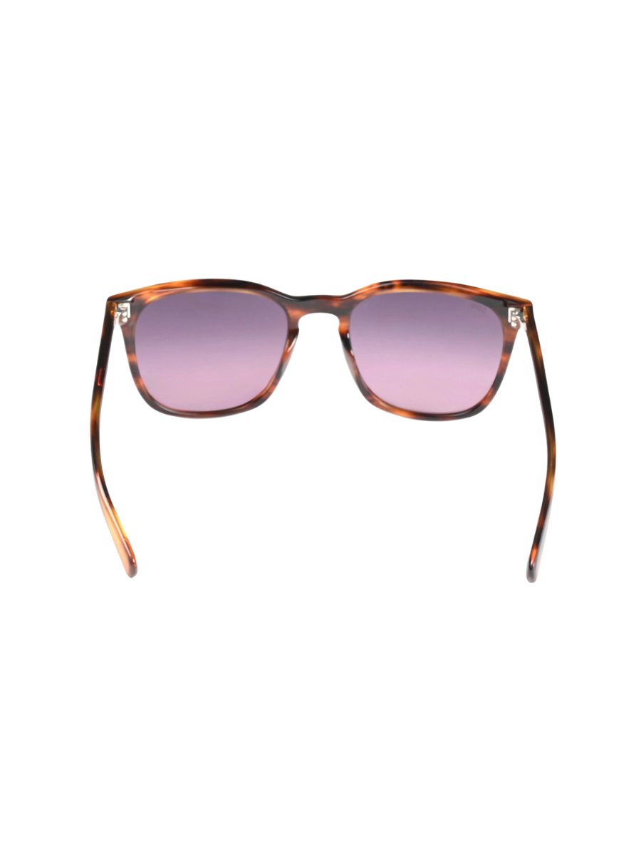 COSTA | Sullivan Sunglasses - Matte Tortoise