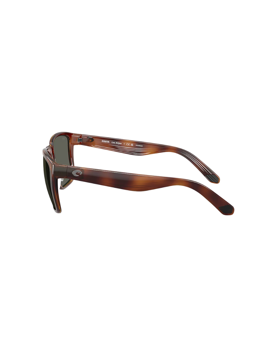 COSTA | Los Alijos Sunglasses - Tortoise