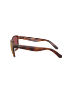 COSTA | Los Alijos Sunglasses - Tortoise