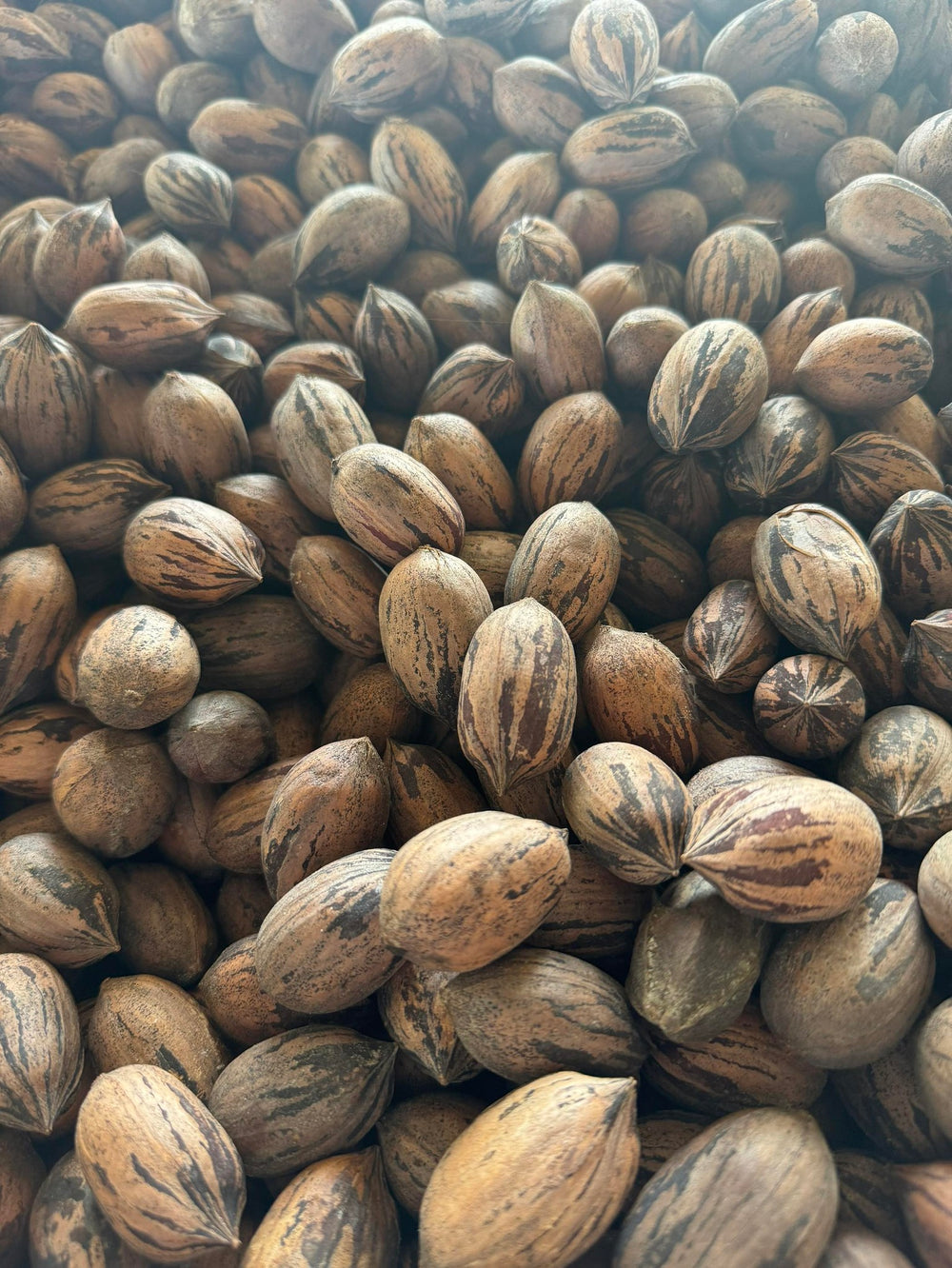 4M Pecans