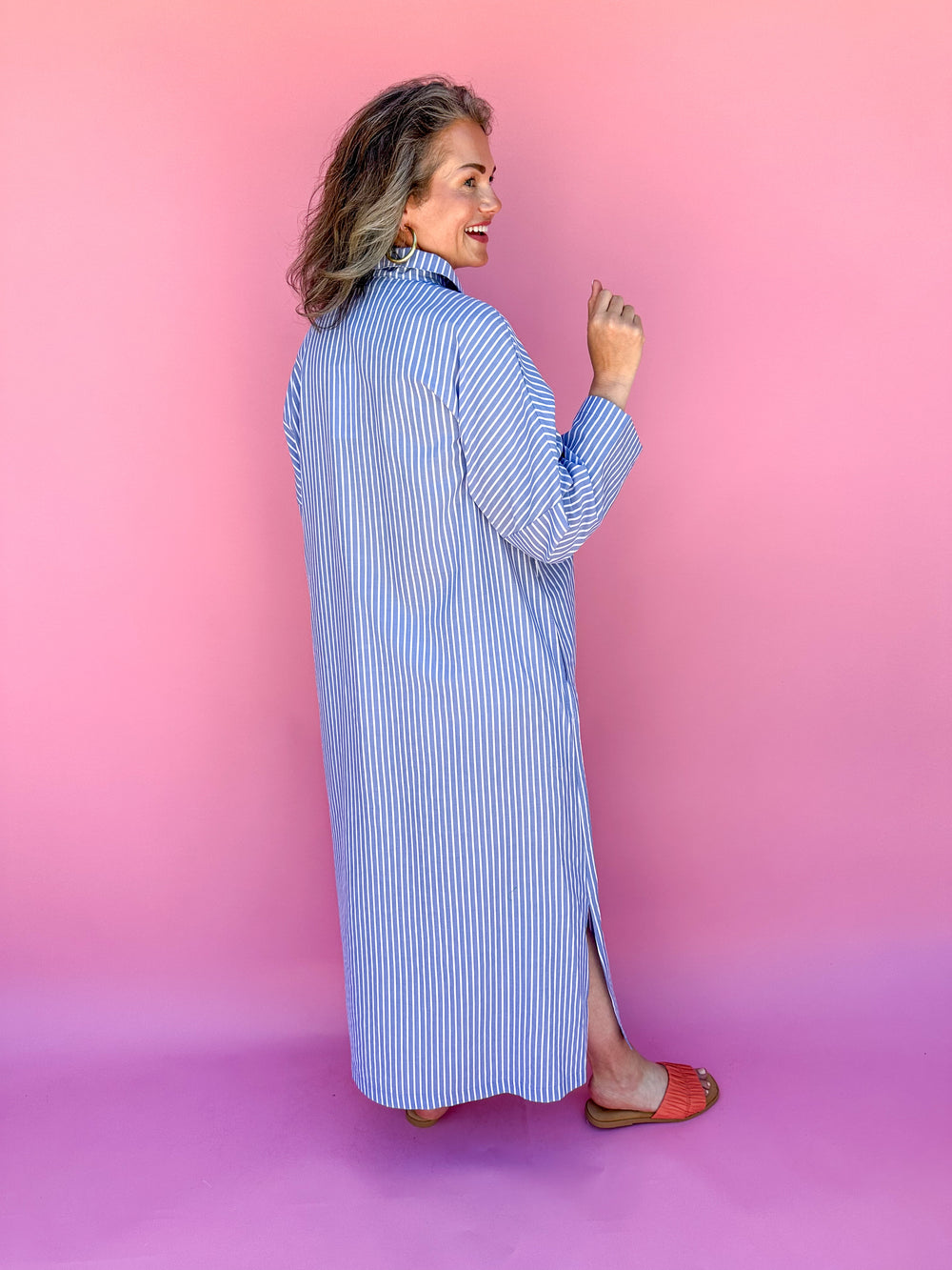 ADRIENNE | Regan Dress - Denim Stripe