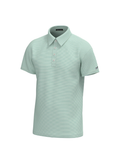 Southern Point Co | Charles 4 Button Polo - Spring Green Stripe