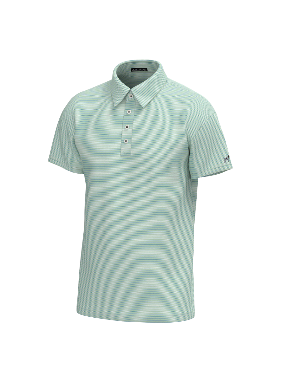 Southern Point Co | Charles 4 Button Polo - Spring Green Stripe