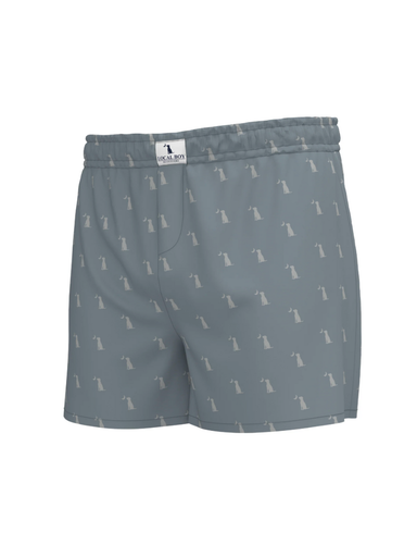 Local Boy Boxer Shorts Slate Dog & Moon mens tripp