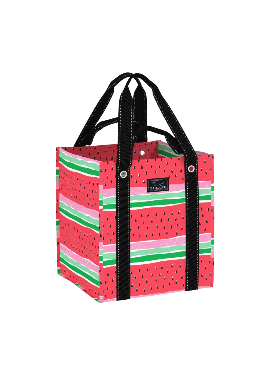 SCOUT | Bagette - Melondramatic