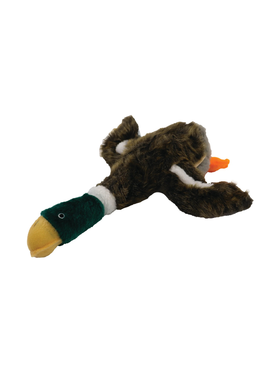 Local Boy | Dog Toys