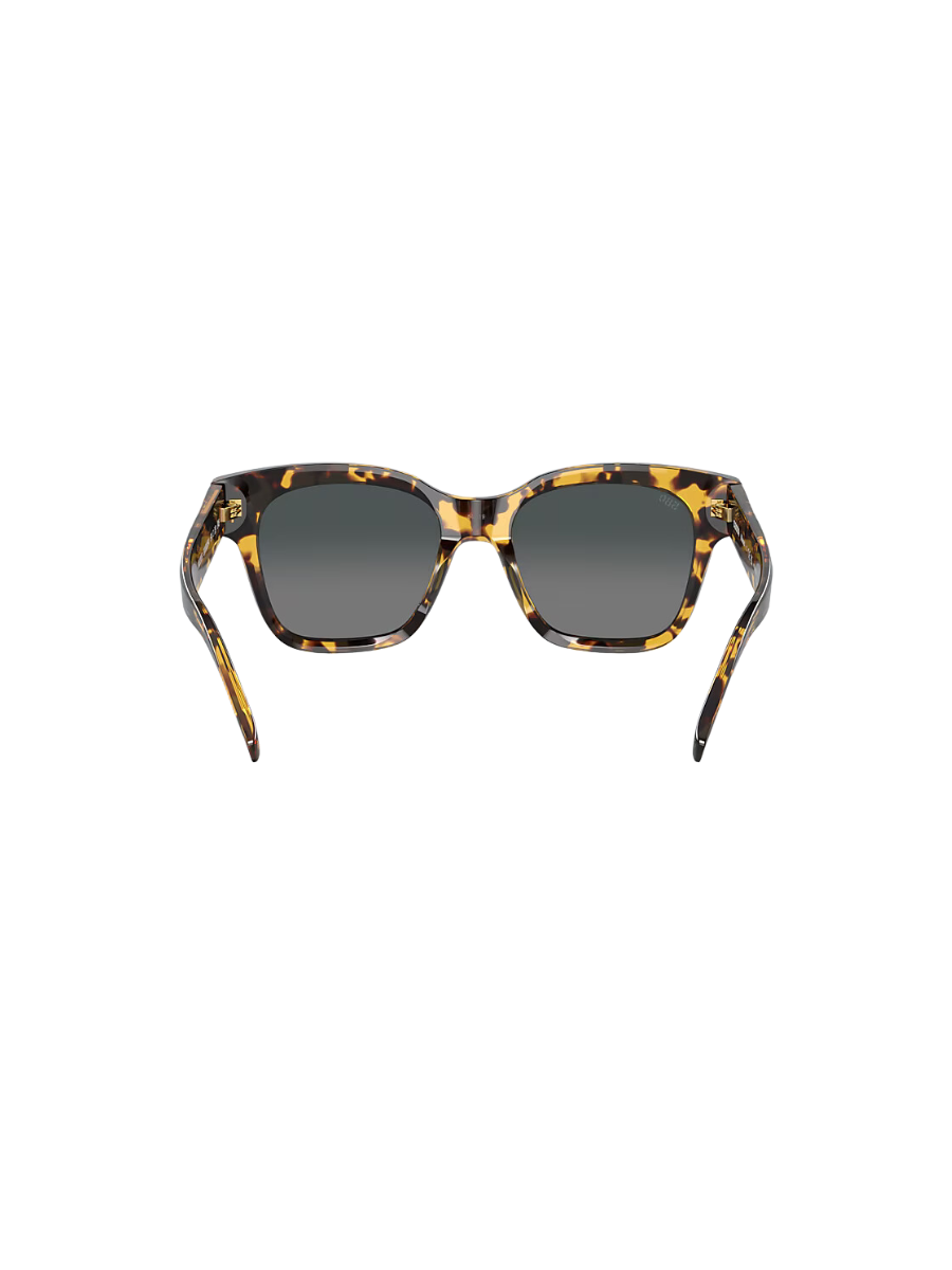 COSTA | Nusa Sunglasses - Tortoise