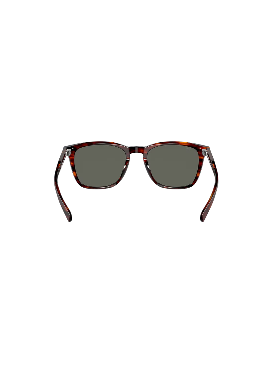 COSTA | Sullivan Sunglasses - Matte Tortoise