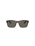COSTA | Paunch Sunglasses - Tortoise