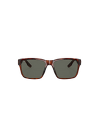 COSTA | Paunch Sunglasses - Tortoise