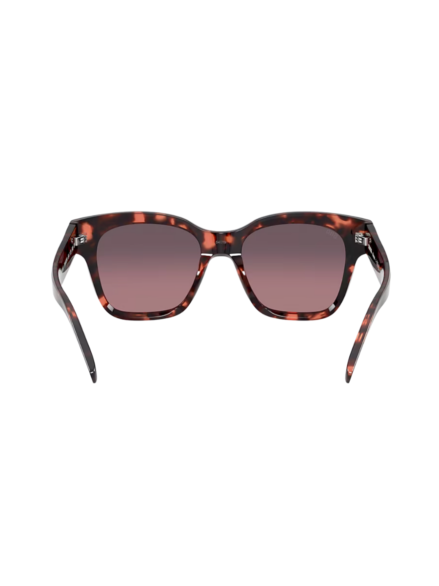 COSTA | Nusa Sunglasses - Tortoise
