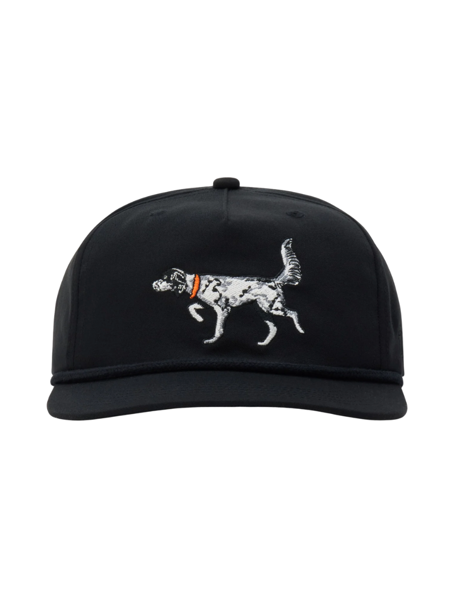Duck Camp | English Setter Hat - Black