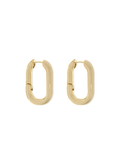 Linked In Earrings