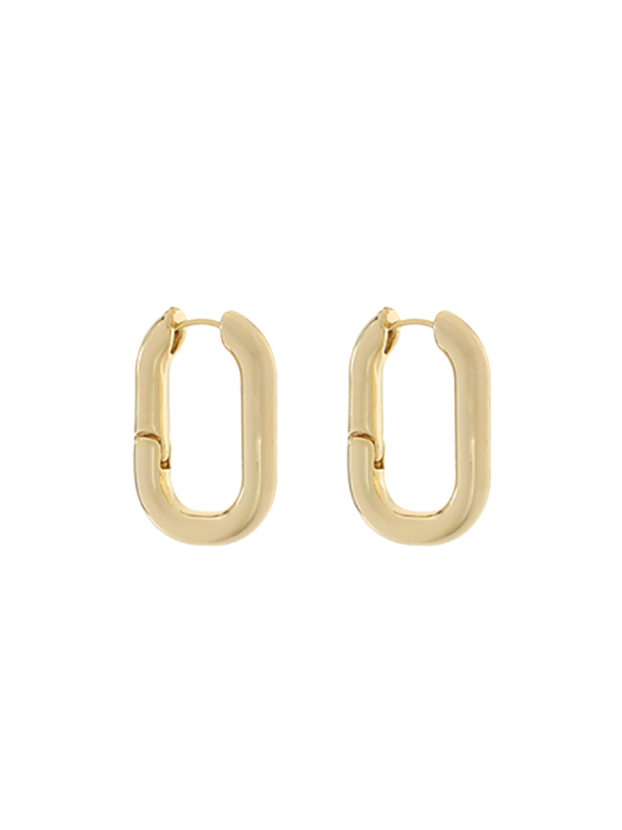 Linked In Earrings
