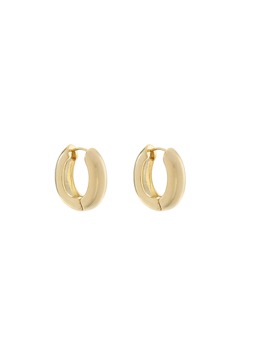 Gilded Gold Earrings
