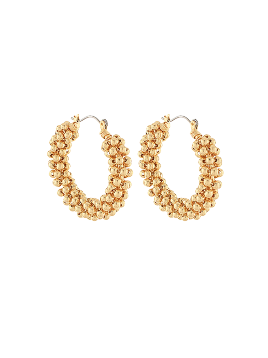 Golden Glow Hoop Earrings