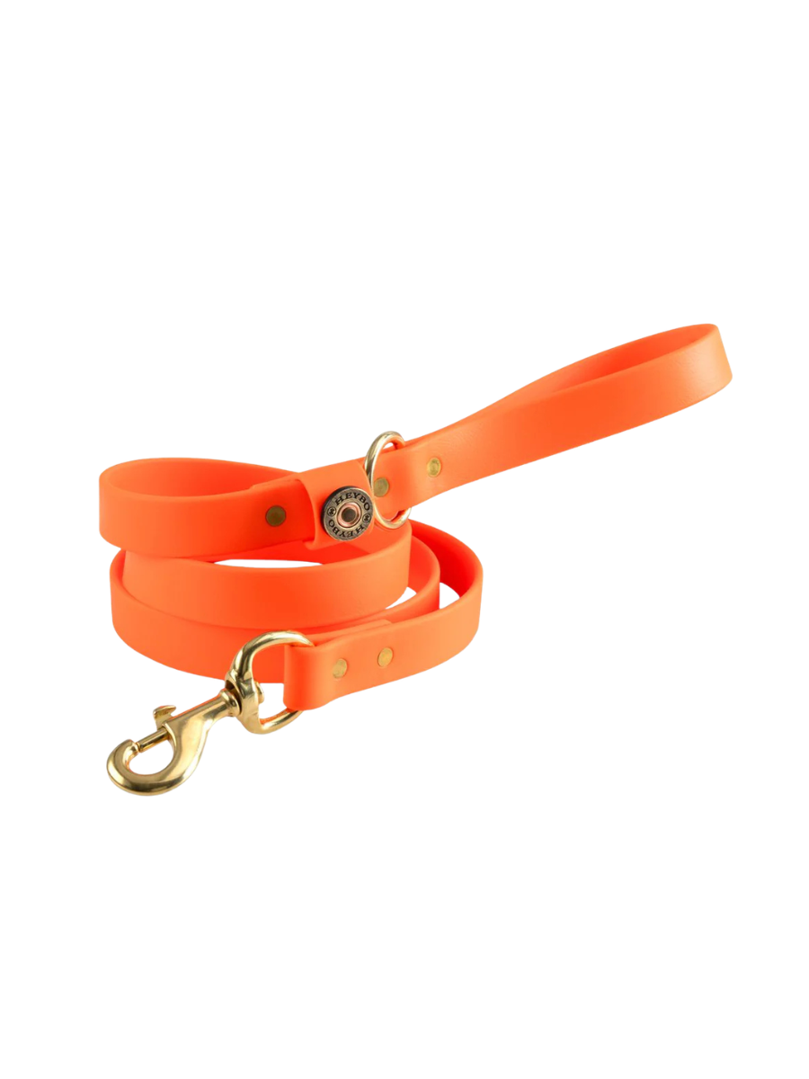 Heybo Outdoors | Biothane Dog Leash - Blaze Orange