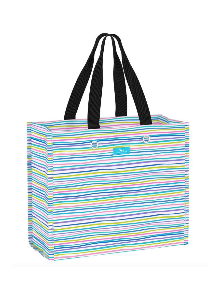 SCOUT | Large Package Gift Bag - Silly Spring
