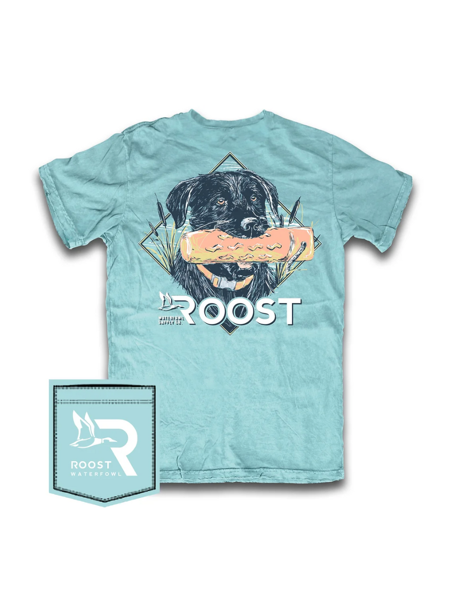 Roost | YOUTH Roost Bumper Lab Tee - Mint