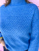 Jincy's Women's Boutique Winter Styles Plus Size Blue Sweater