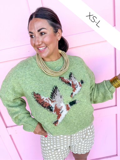 Jincy's Womens Boutique Kiwi Green Mallard Duck Sweater Chartreuse Chic Collection Everyday Wear Bailey Rose BRW0280 Chartreuse Chic Collection 