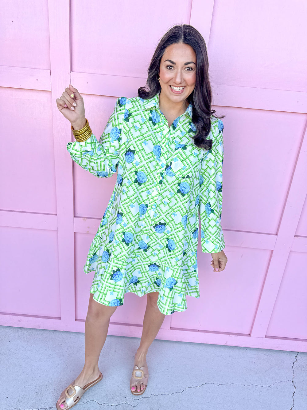 Jincy's Women's Boutique Spring Styles Hydrangea Bamboo Mini Dress Grandmillenial Style