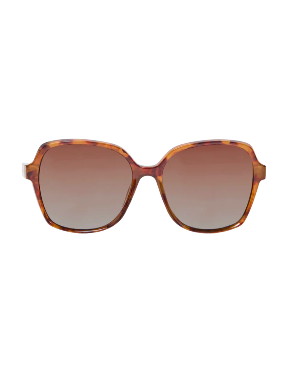 Mary Square | Haley Sunglasses - Tortoise