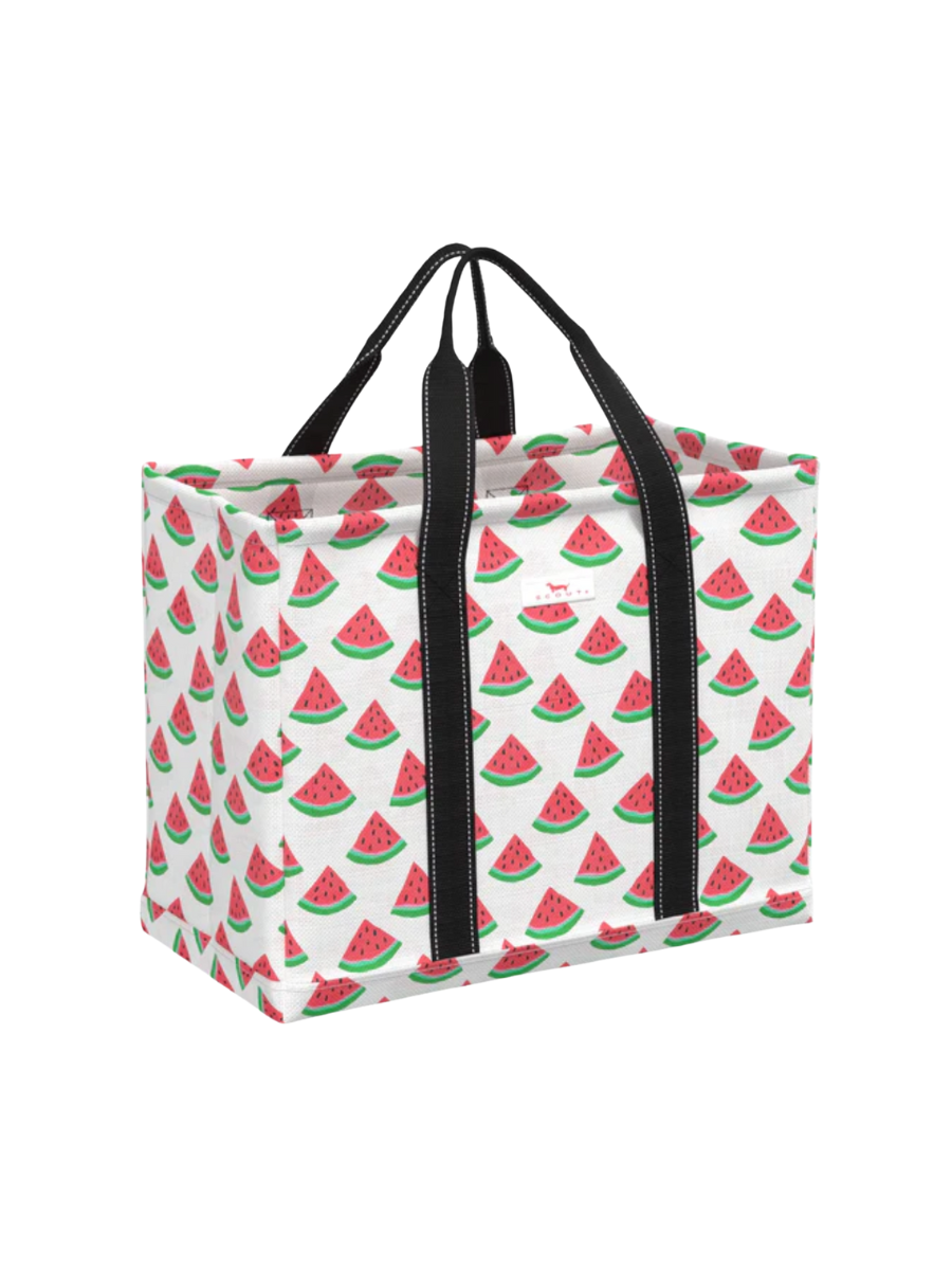 SCOUT | Roadtripper - One in a Melon