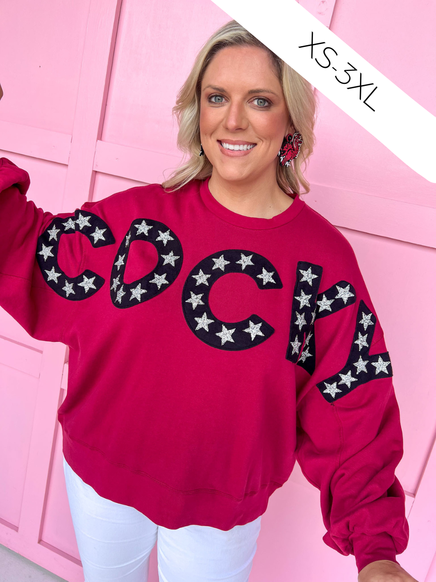 Stewart Simmons | Balloon Sleeve Pullover - South Carolina™