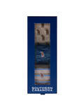 Southern Casanova | 3 Pack Cotton Socks - Multi
