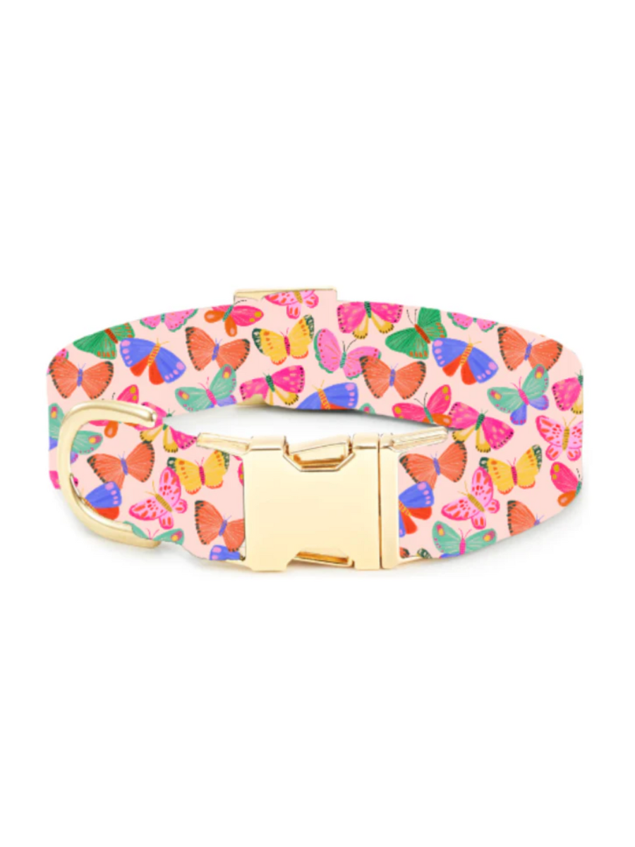 Bright Butterflies Dog Collar