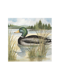 Rosanne Beck Boston International Mallard Cocktail Napkins Outdoor Lake Trees Jincy's