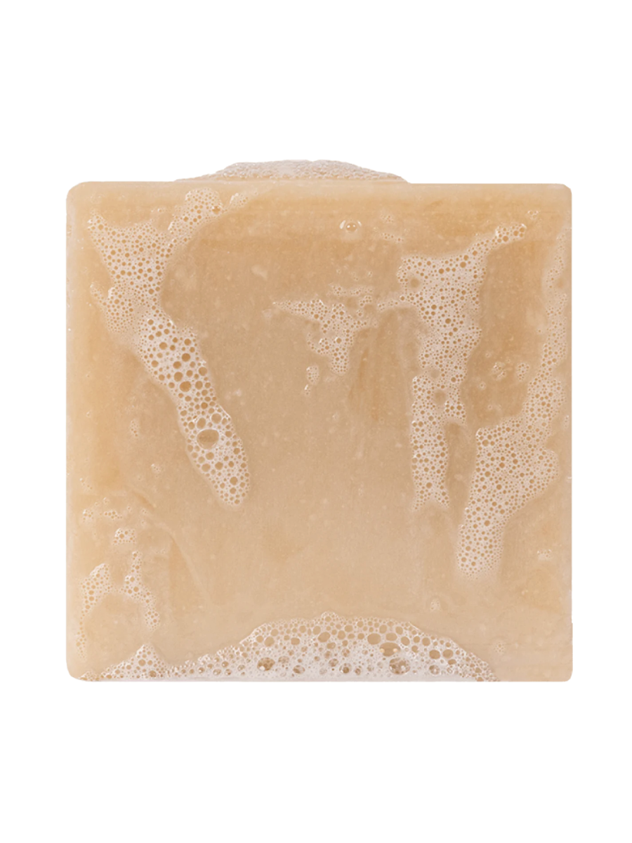 Dr. Squatch | 5oz Bar Soap - Bay Rum