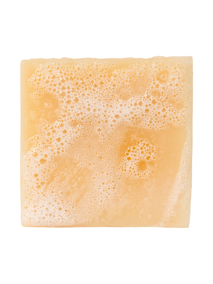 Dr. Squatch | 5oz Bar Soap - Alpine Sage