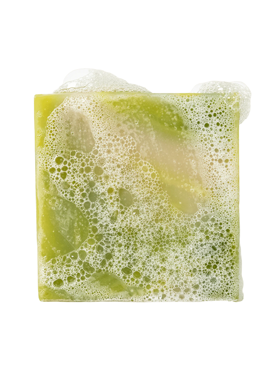 Dr. Squatch | 5oz Bar Soap - Cool Fresh Aloe