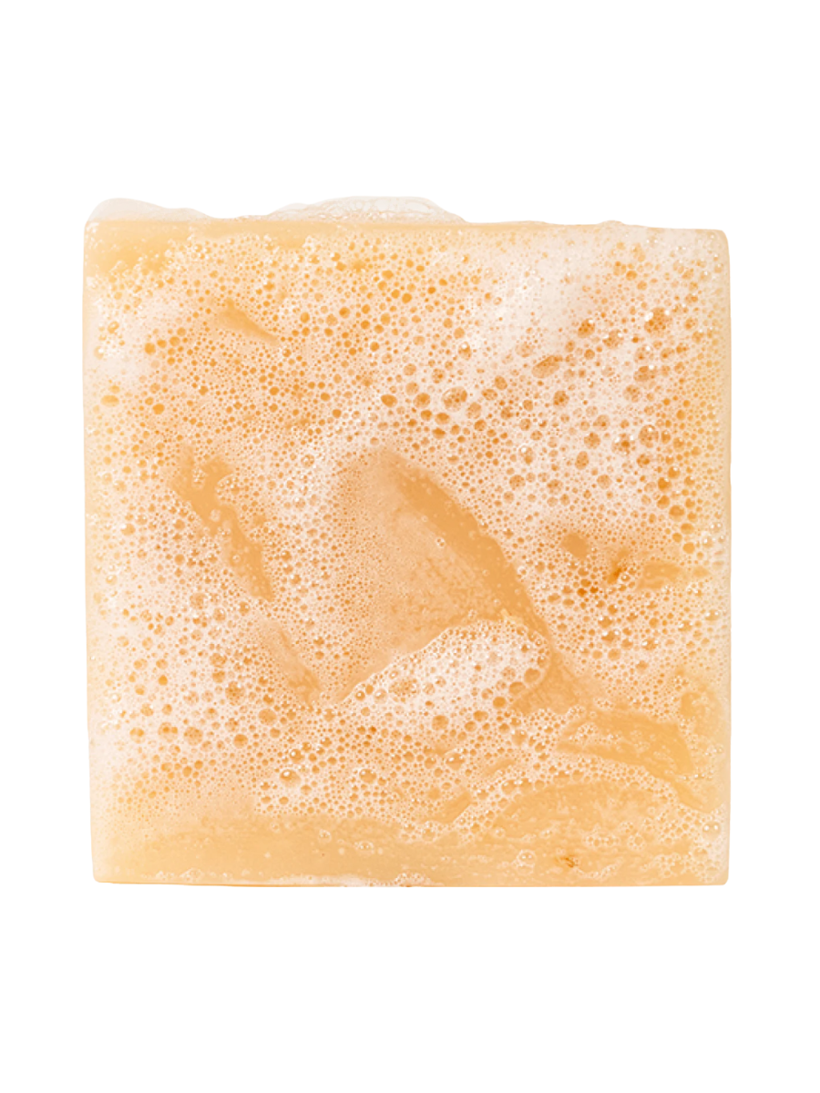 Dr. Squatch | 5oz Bar Soap - Deep Sea Goats Milk