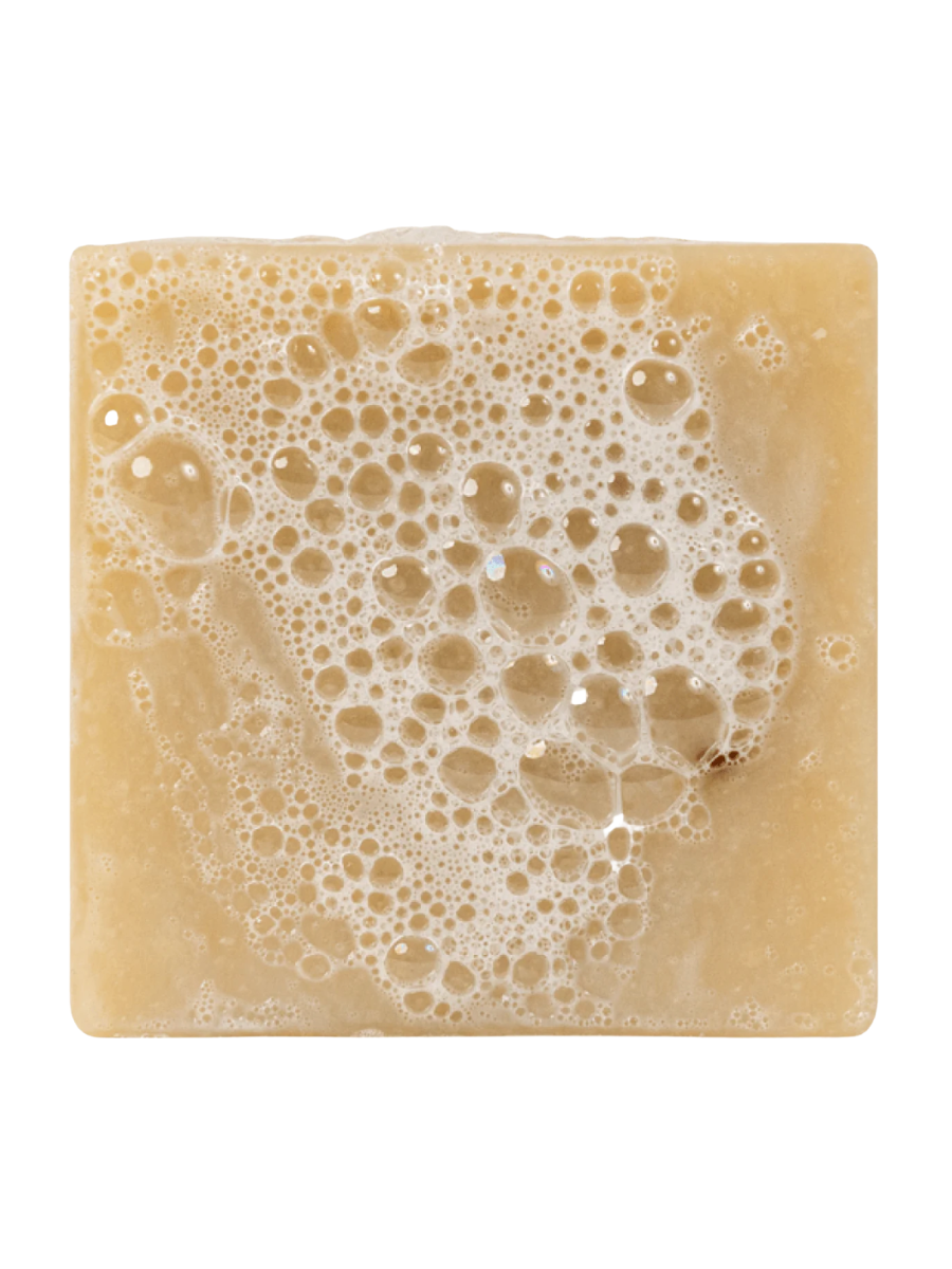 Dr. Squatch | 5oz Bar Soap - Spearmint Basil Scrub
