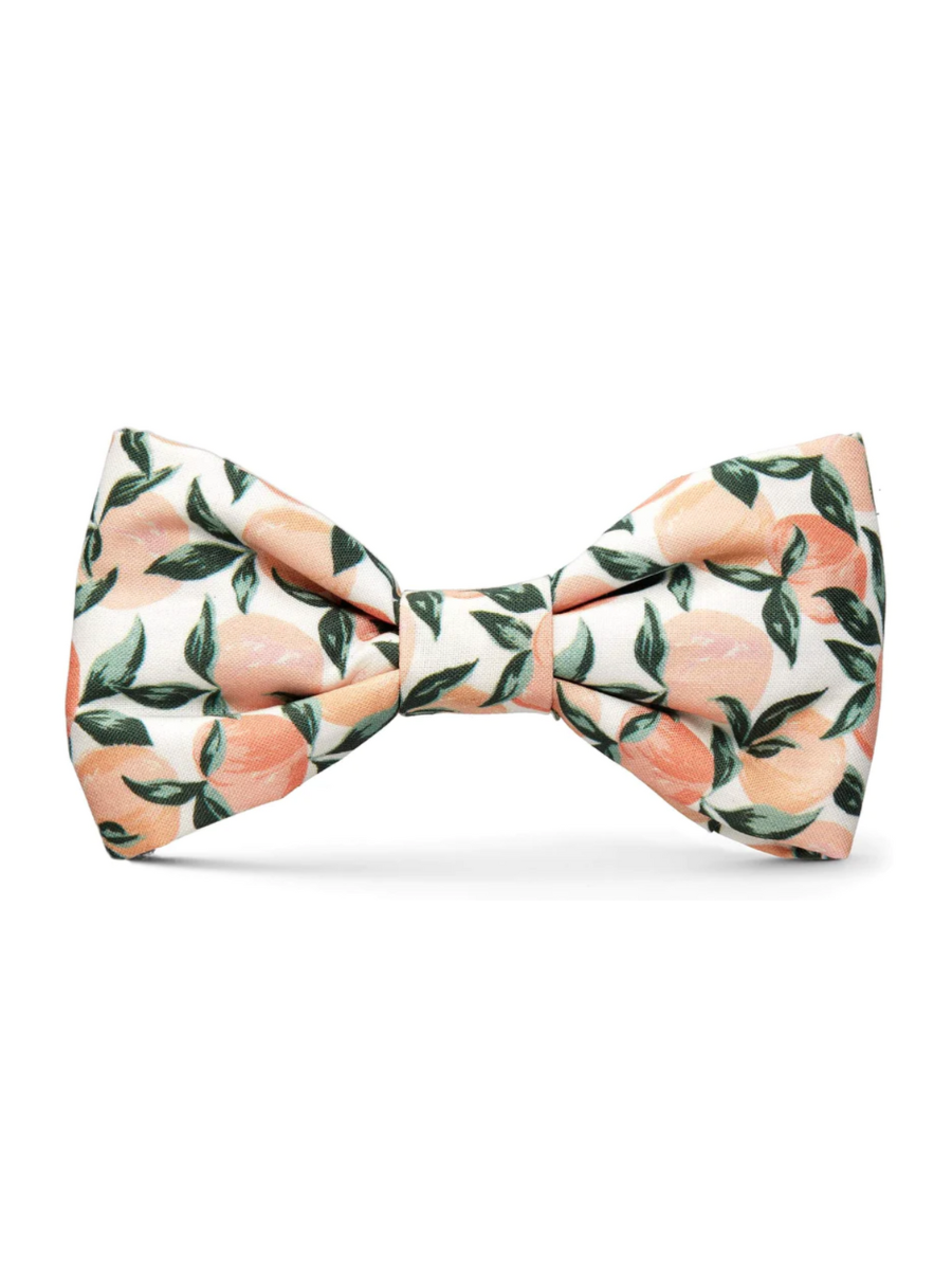 Peaches And Cream Dog Bow Tie