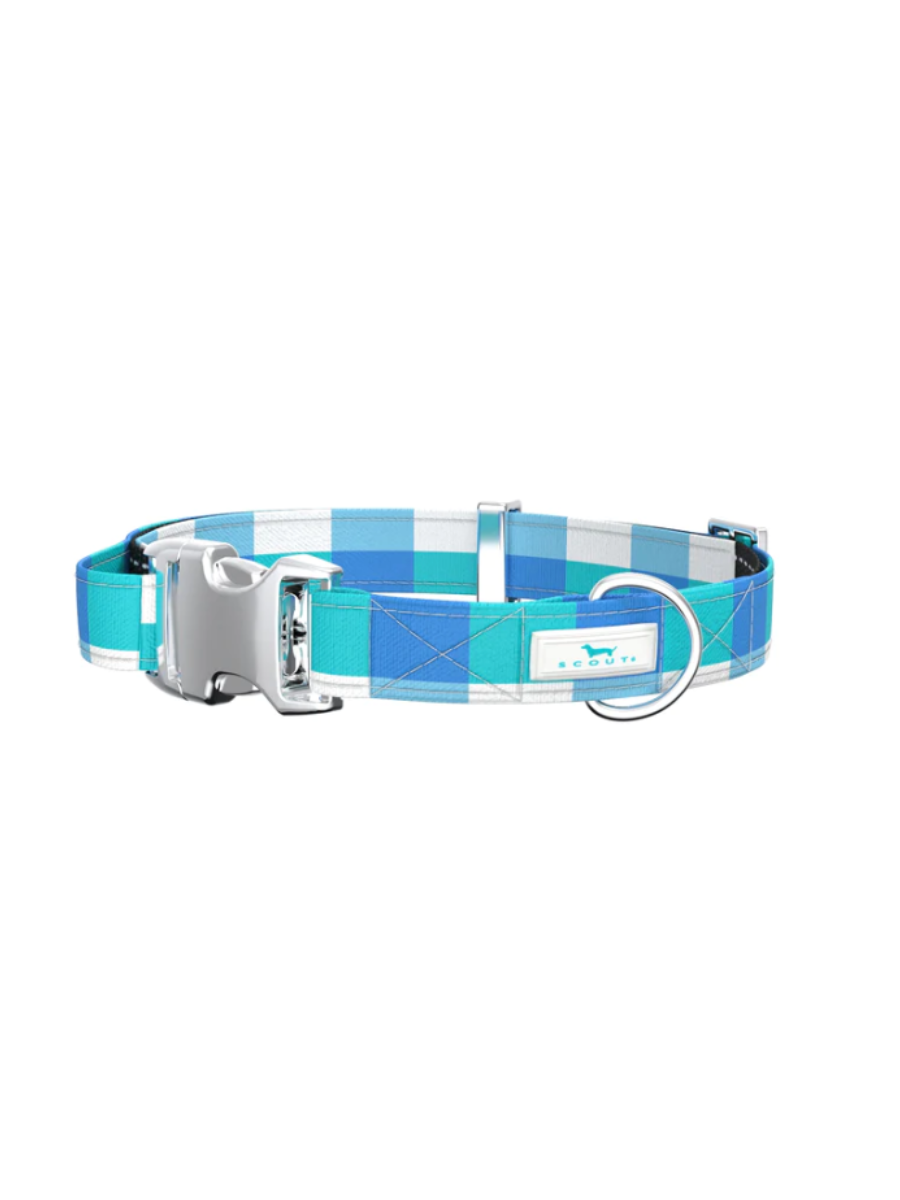 SCOUT | Dog Collar - Friends of Dorothy
